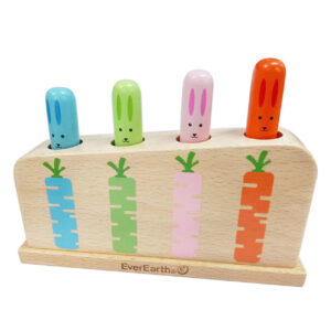 EverEarth Pop Up Bunny