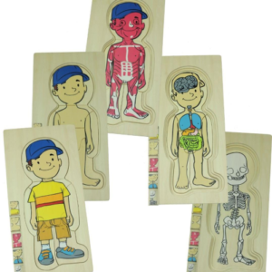 Discoveroo 5 Layer Body Puzzle | Boy